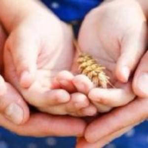 生完孩子多久就可以上环了,一胎生完可以上环吗