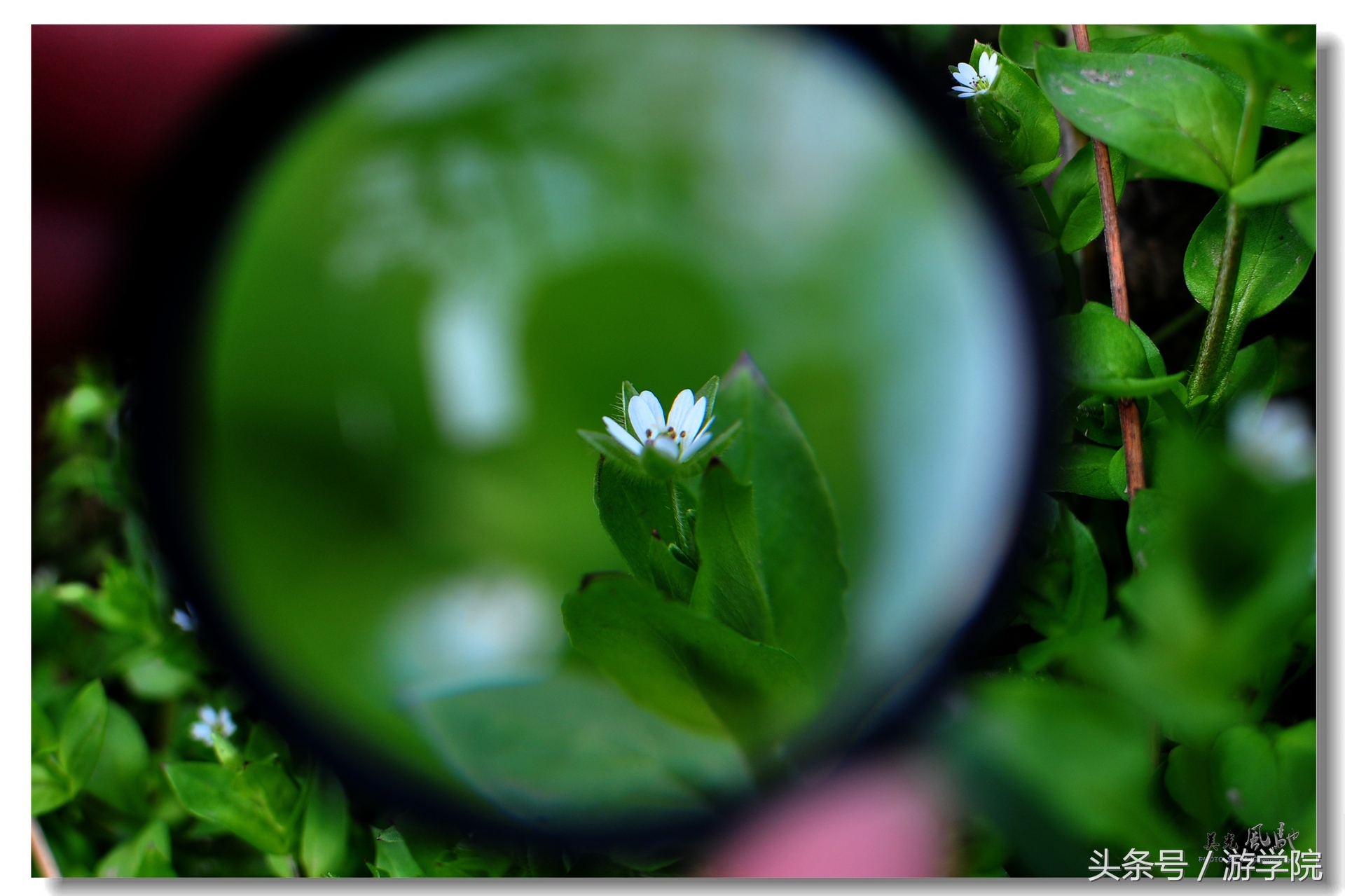 摄影答疑,解答摄影问题