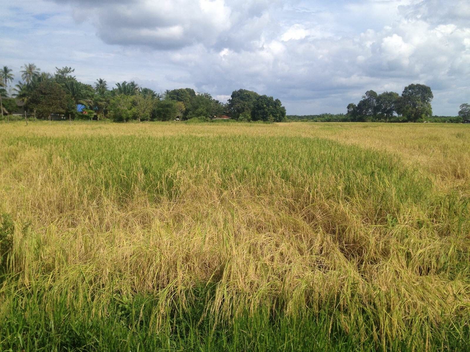 泰国天堂沙滩旅游,泰国天堂之城视频