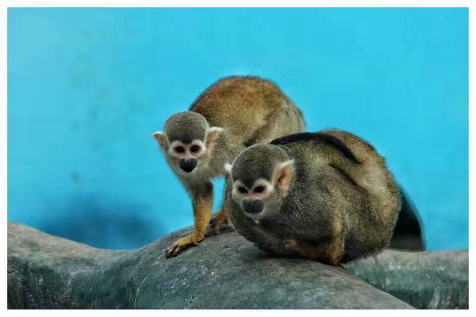 德州记者摄影师,德州专业摄影师