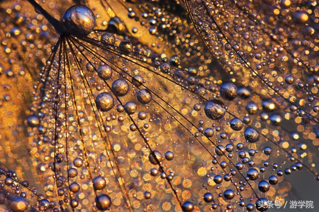 摄影答疑,解答摄影问题