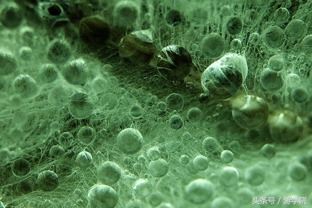 摄影答疑,解答摄影问题