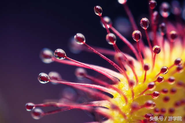 摄影答疑,解答摄影问题