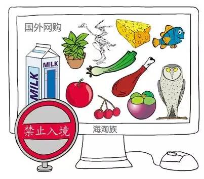 即食燕窝可以入境日本吗,花胶燕窝鲜贝海参进货渠道