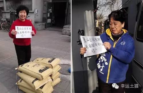 带喂了2年的流浪猫回家过年,公园里的流浪猫吃饱了