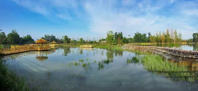 去温江有啥好玩的,夏季温江游玩景点有哪些