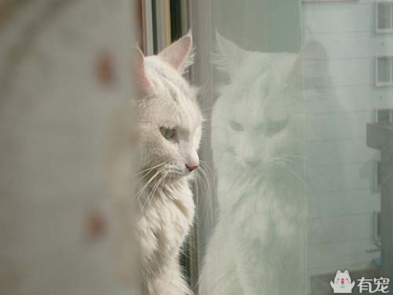 有福之人满满的幸福 (有才和有福的成长日记)