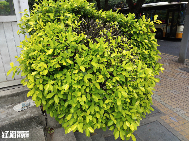 大电池手机360n4s对比,360n4s骁龙版体验详情