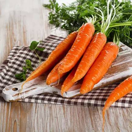 蔬菜种子识别图片,常见蔬菜种子认识