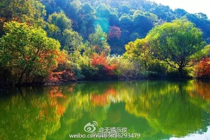 五千美女奔跑在山水画廊中是怎样一种感受？今天无锡又有一场马拉松，连奥运冠军都来啦！