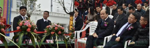 比利美英伟饲料溧阳车间,溧阳比利美英伟蛋鸡饲料价格