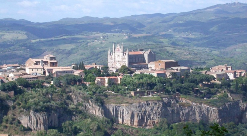 明星结婚地方,今年明星都报什么专业