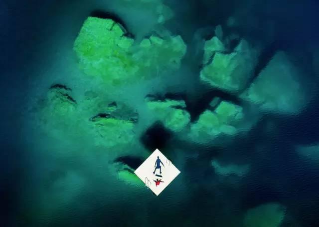 2016最佳体育摄影,最震动的极限运动