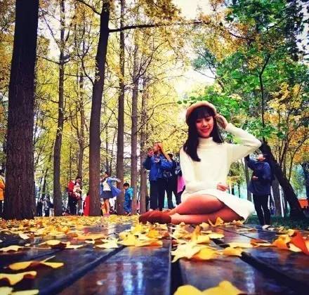 成都最后的银杏,成都附近最值得看的银杏