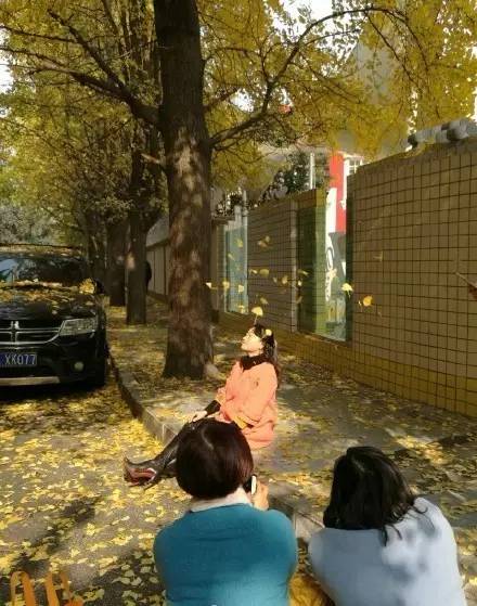 成都最后的银杏,成都附近最值得看的银杏