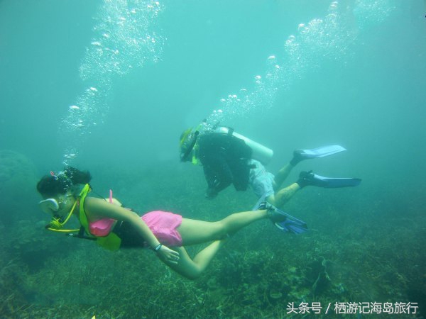 潜水推荐国内,适合潜水的海岛