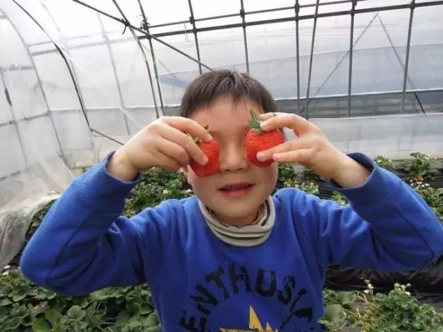 深圳情人岛潜水避坑指南,深圳情人岛自由行攻略