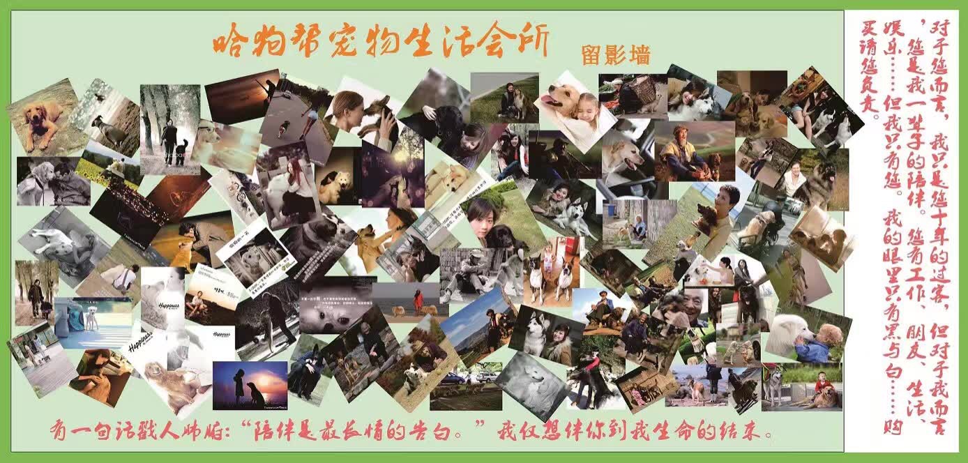 宠物医院真的那么不堪吗,什么是正规的宠物医院