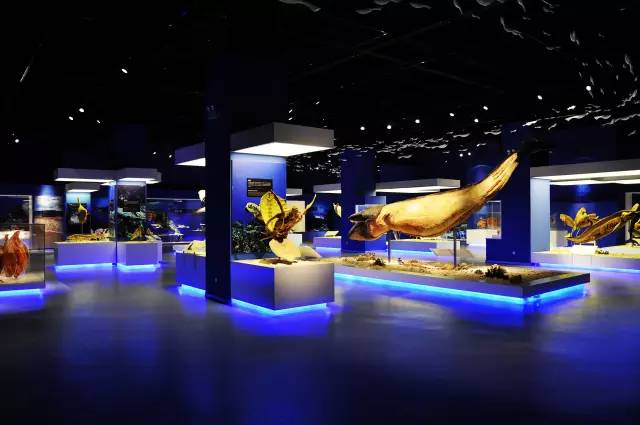 大连金州区炮台镇有哪些景区,大连旅游攻略必玩的景点景区