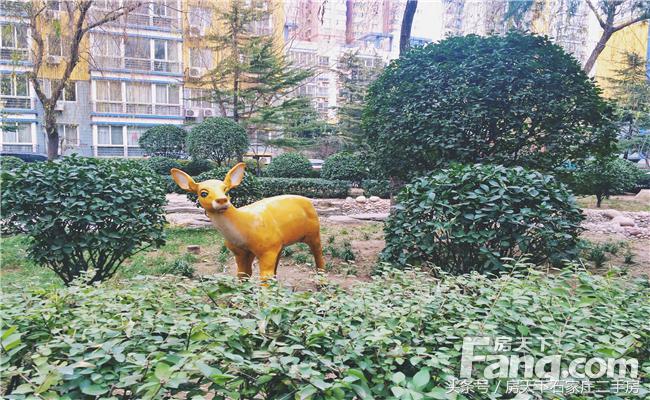 联邦名都住宅,联邦名都最好的地段