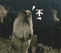 抢票高峰将至这些抢票攻略你要看,最难抢的景点门票