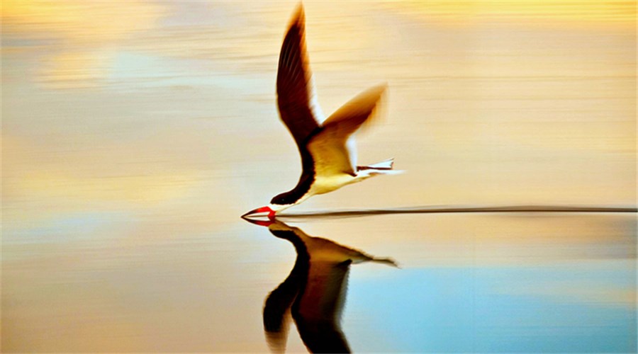 学而思家长们也给了很多建议,这些年家长们给耳蜗宝宝挖的坑