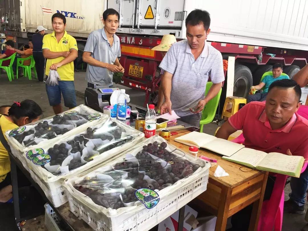 广西进口农产品批发市场,中国进口商品直销平台