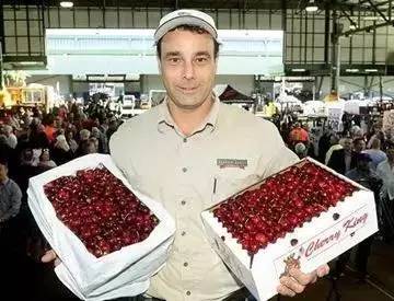 澳大利亚的新鲜樱桃,国内澳洲樱桃