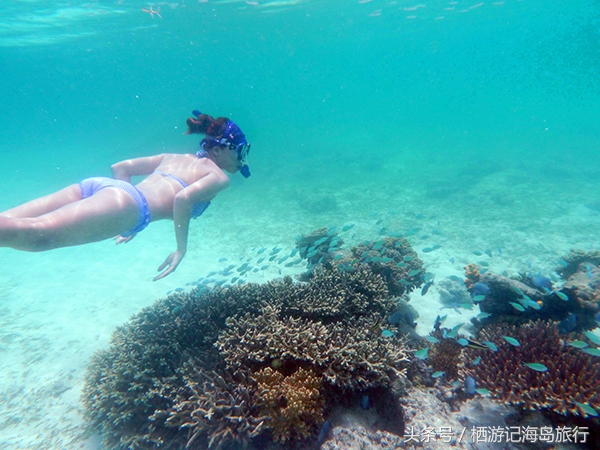 潜水推荐国内,适合潜水的海岛