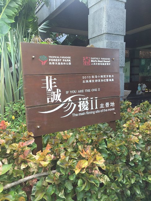 一家三口去三亚,一家三口三亚旅游图片