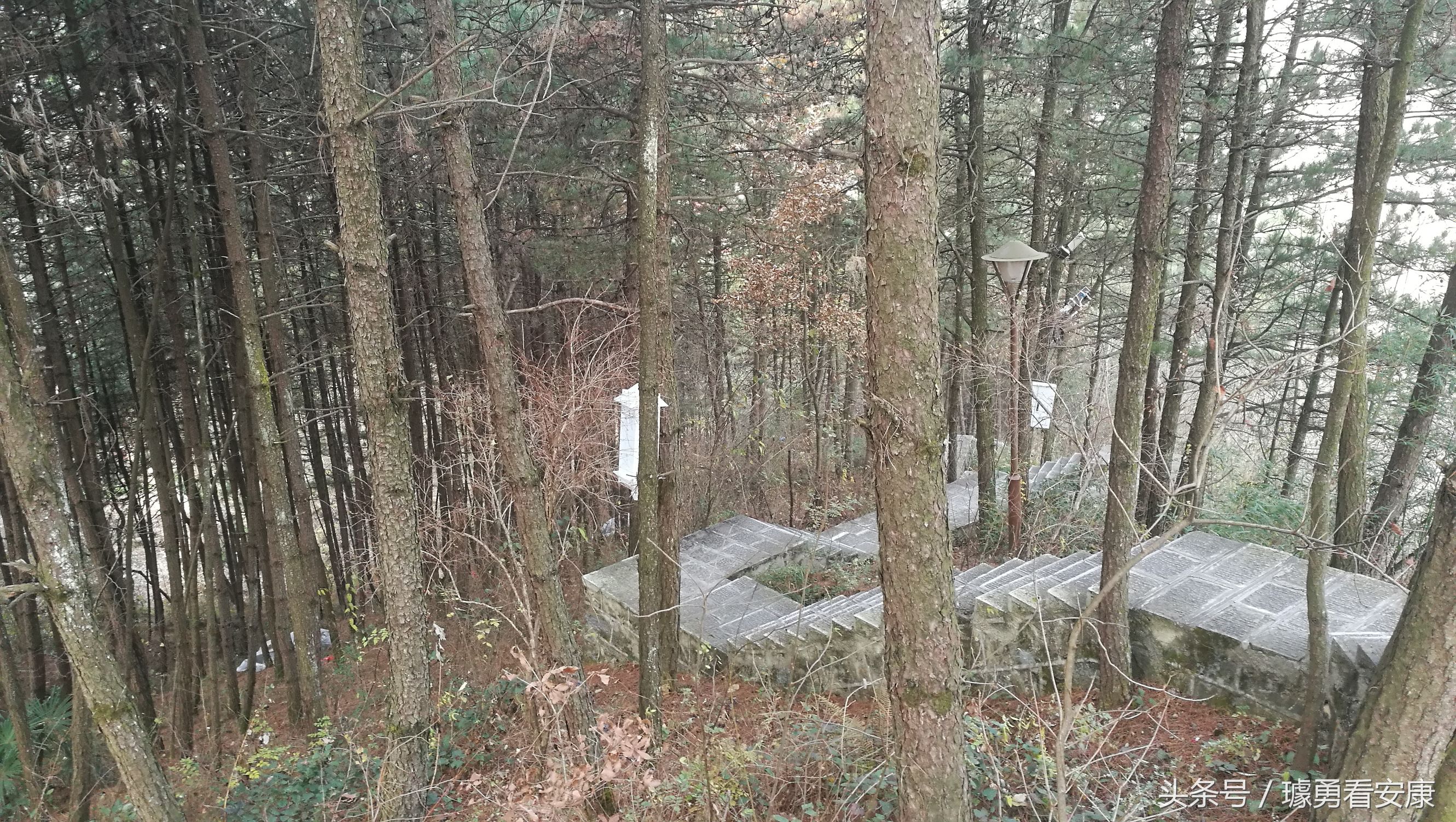 这里是中国慢城，一个让人能够宁静的城市这里环境美人情更美