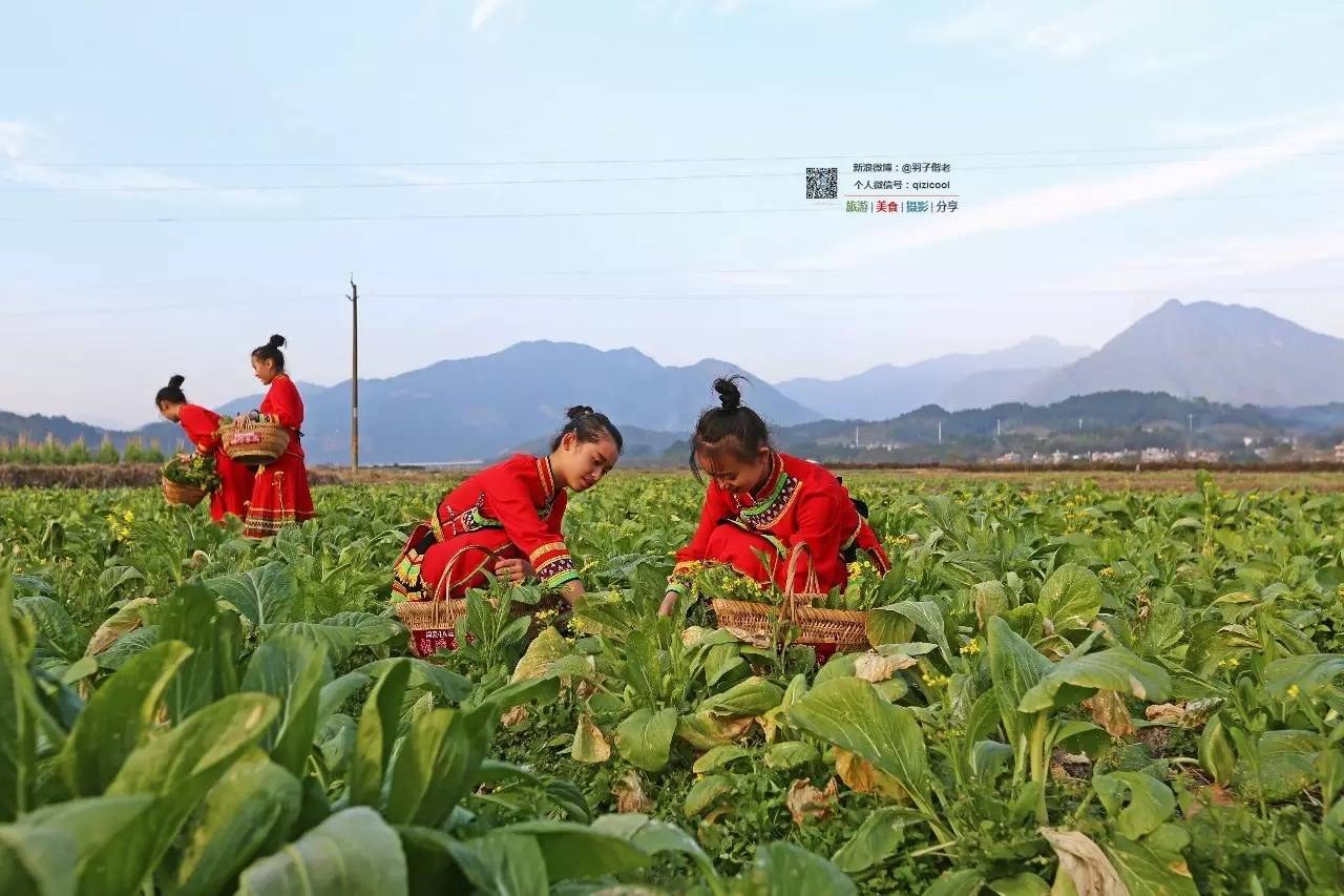 去连州有什么好玩的,清远连州旅游详细攻略