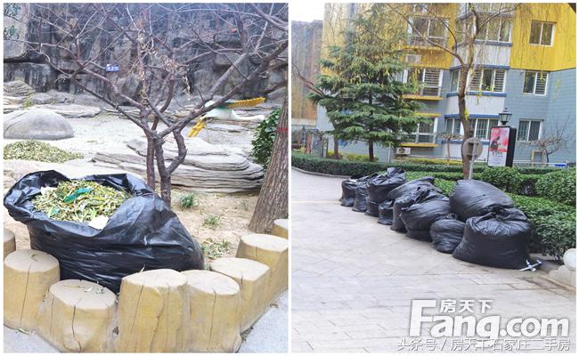 联邦名都住宅,联邦名都最好的地段