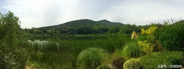 外地人对徐州人的评价,各地人怎么评价徐州人