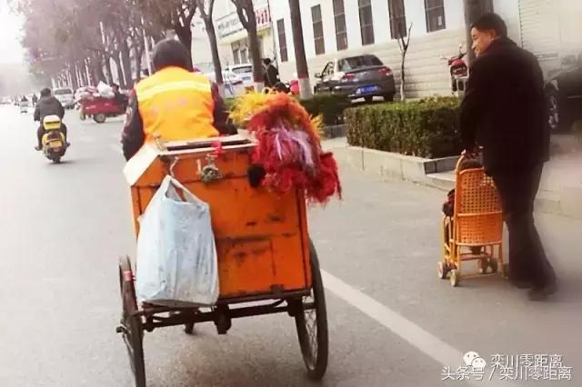 洛阳街头的“城市黄玫瑰”，你可曾关注过他们？