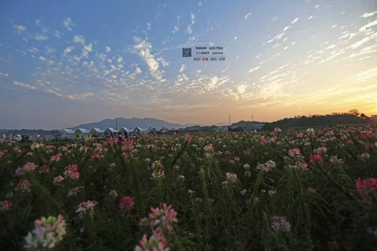 去连州有什么好玩的,清远连州旅游详细攻略