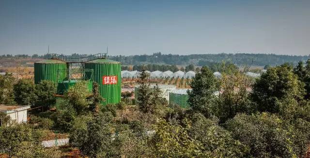 九峰万亩茶园,九峰森林动物园好不好玩