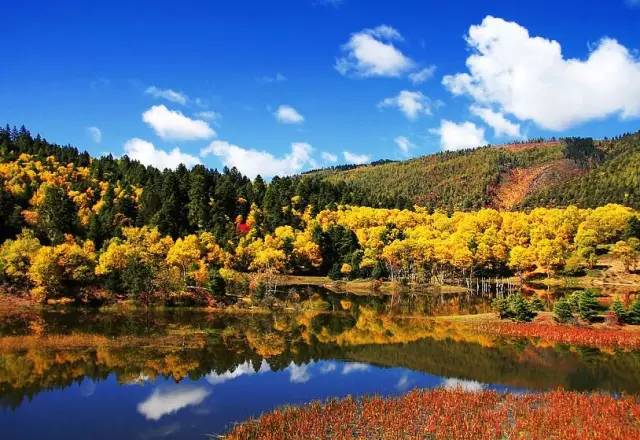 如果你在晚上12点买火车票,宁波火车站春节票现场可以买吗