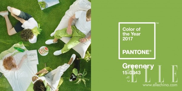 2017流行色发色,2017年的流行色草木绿