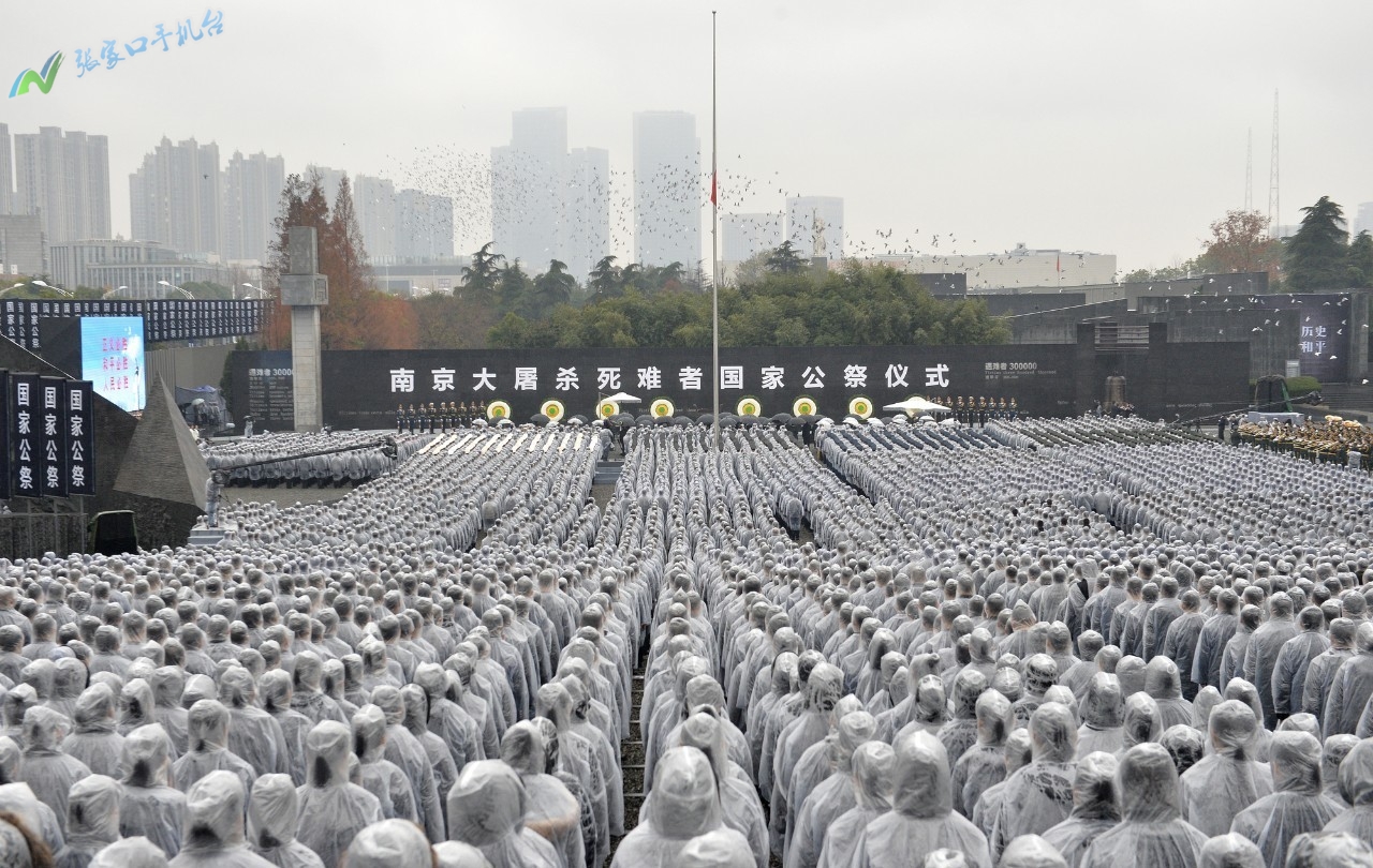 张家口新闻联播12月15日,张家口新闻报道频道