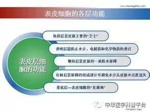 每天都在洗，皮肤这道“城墙”是怎样建成的