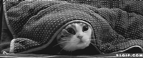 选哪一款的冬天被子廉价又好,哪款被子最值得买