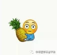 每天都在洗，皮肤这道“城墙”是怎样建成的