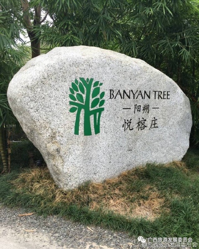 深度关注我县吹响旅游复苏新号角,广西双创示范基地