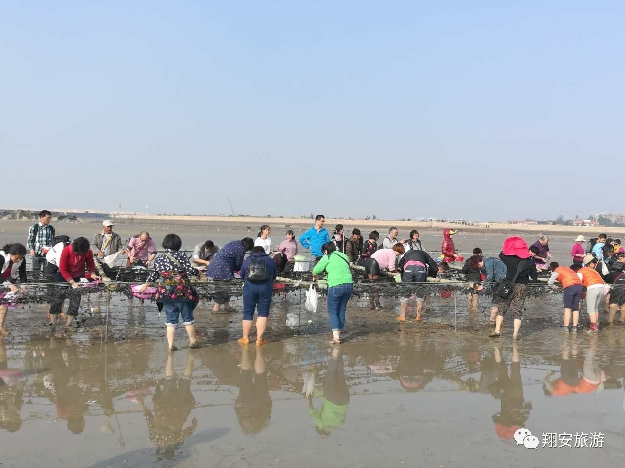 鱼我所欲也，紫菜亦我所欲也~2016翔安海岛旅游节欢乐登场