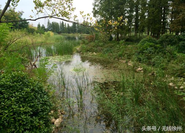 外地人对徐州人的评价,各地人怎么评价徐州人