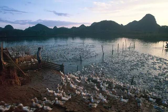 记一位走过云南每片土地的人文地理摄影师