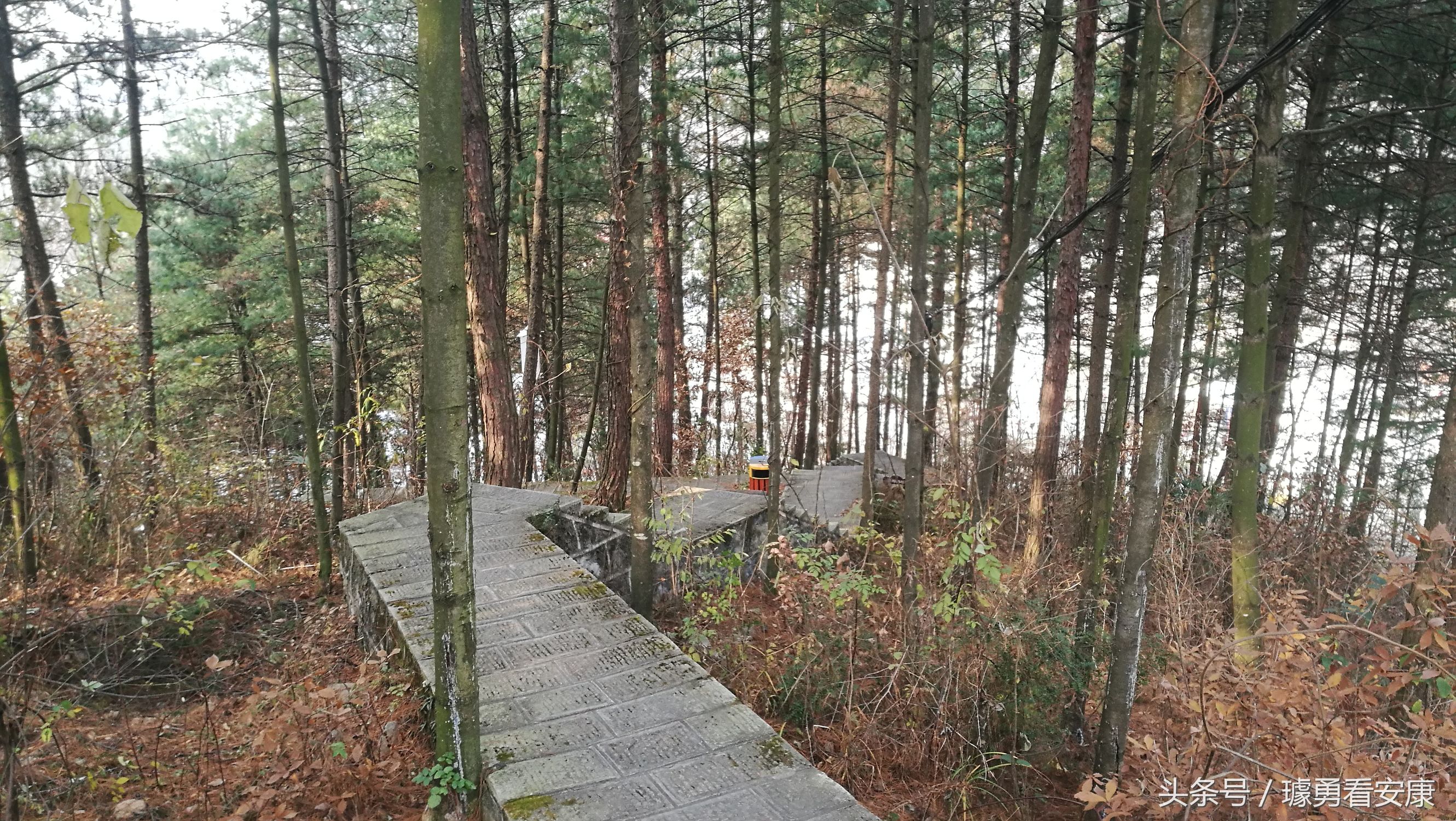 这里是中国慢城，一个让人能够宁静的城市这里环境美人情更美