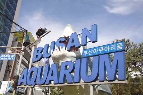 韩国釜山旅游地,釜山首尔旅游