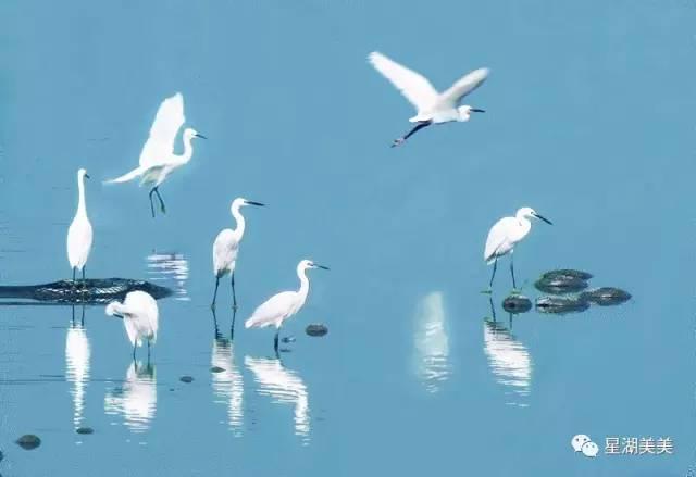 广东省肇庆市生态环境,肇庆生态文明